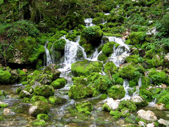 Brooks full of water in the spring time