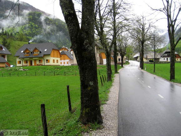 Avenue between Upper and Lower Log