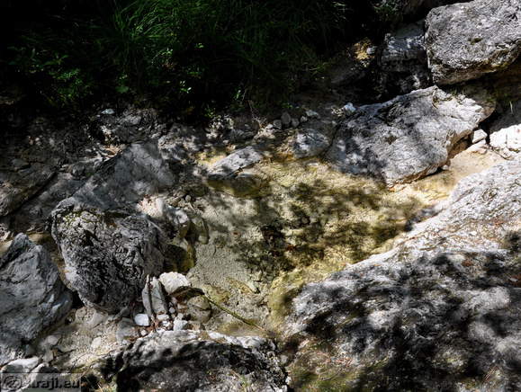 Prečkanje potoka Roja