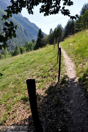 Pot nad Spodnjim Logom