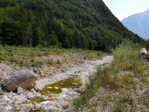 Potok Koritnica pred sotočjem s potokom Fratarica