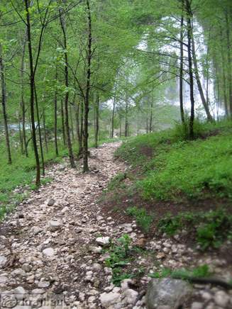 Trail to the waterfall Trail to the waterfall