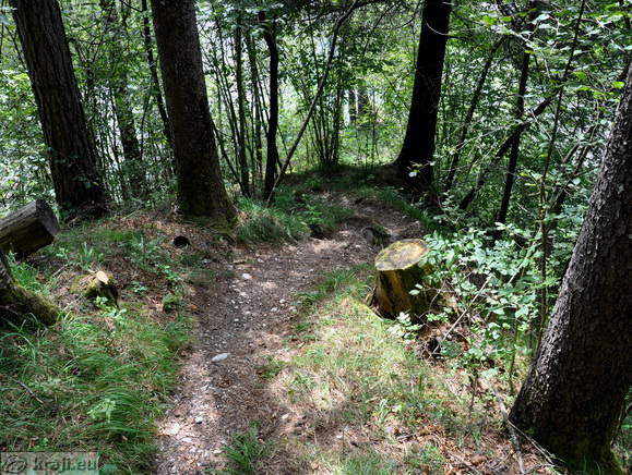 Zusammenfluss Soca und Koritnica