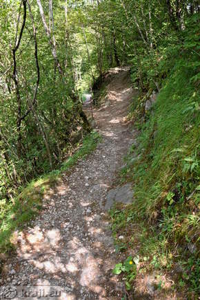 Short footpath to the hanging wooden footbridge