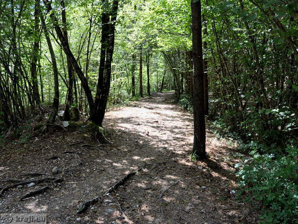 Footpath to the confluence of the Soca and Koritnica