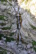 Mangart Bach - Wasserfall