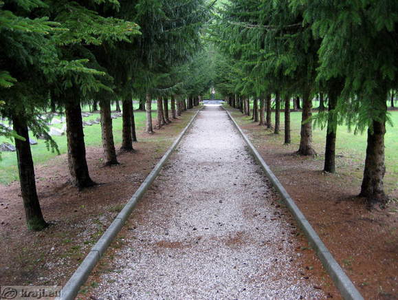 The way to the Cross