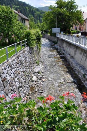 Cerknica Brook