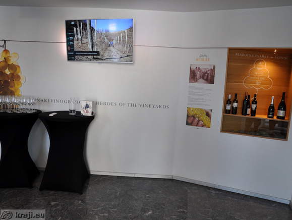 Vinska klet Goriška Brda - Vina