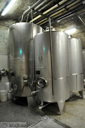 Cisterna vina