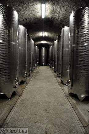 Klet Brda - Cisterne vina