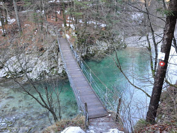 Divje jezero <br> Viseči most v bližini Divjega jezera k Poti ob Rakah