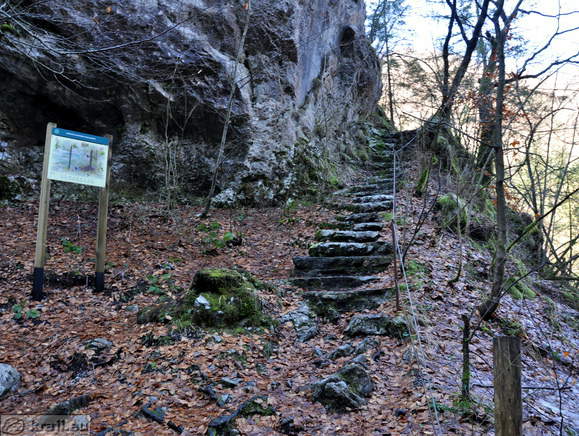 Divje jezero <br> Spust po stopnicah k Divjemu jezeru