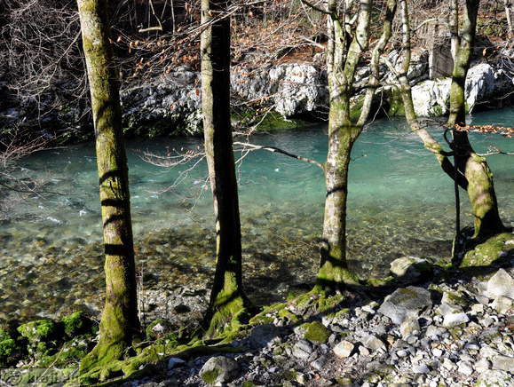 Divje jezero <br> Idrijca