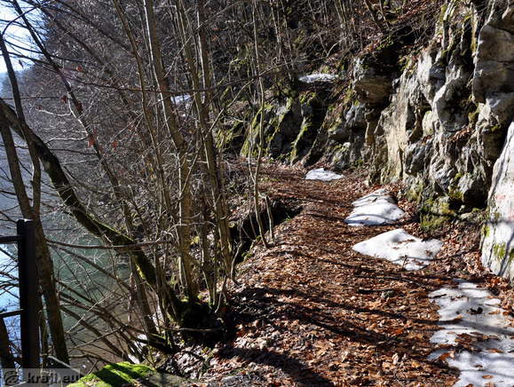 Pot ob Idrijci - Zgornjekredni rudistni apnenec