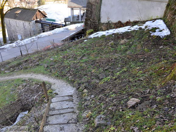 Scopolijev vrt - Vrt idrijske botanične dediščine