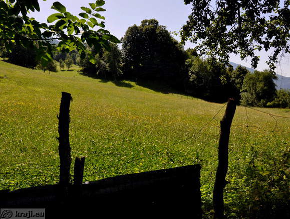 Meadow