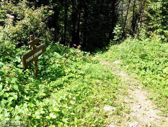 Direction sign - The Stopnik Brook