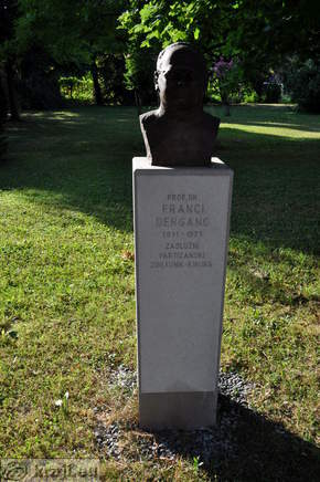 Prof. dr. Franci Derganc
