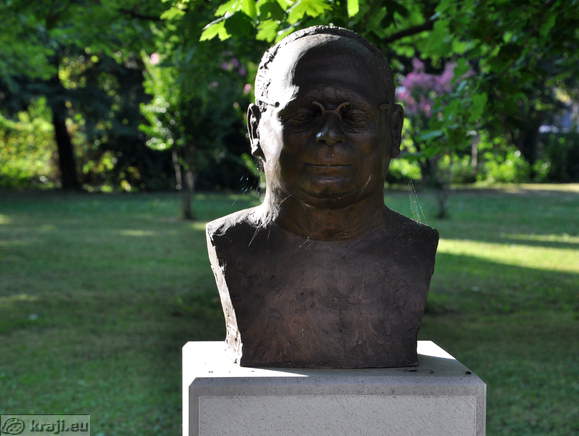 Bust - Prof. dr. Franci Derganc