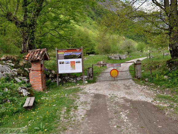 Tolminka Fluss Tal