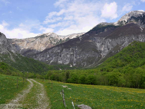 Tolminka Fluss Tal