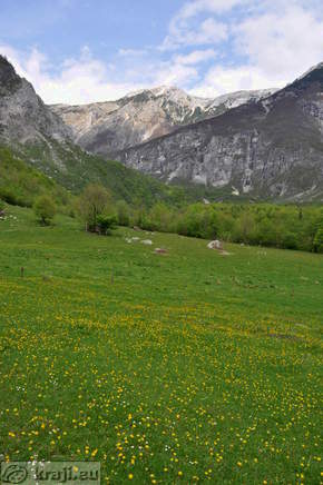 Tolminka Fluss Tal