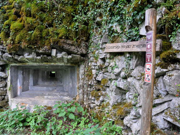 Direction sign for the Forest border mark
