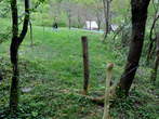 Forest Border Mark - Path to the Forest Border Mark above Polog Pasture 