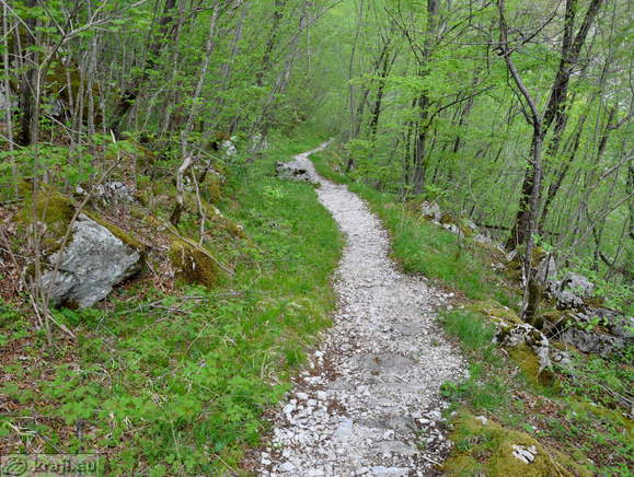 Pot do reke Tolminke