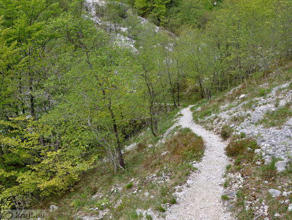 Vzpon po prečkanju reke Tolminke