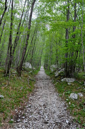 Pot proti planini Prode