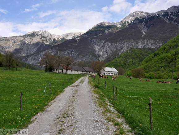 Planina Polog v Zatolminu