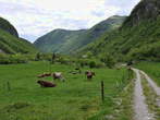 Planina Polog - Dolina Tolminke 
