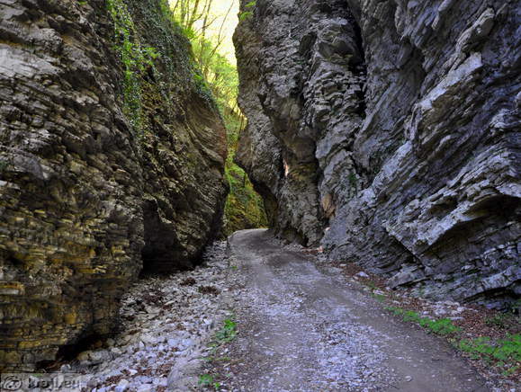 Pogled nazaj na sotesko