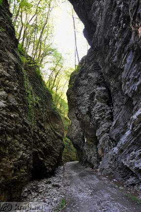 Soteska Driselpoh