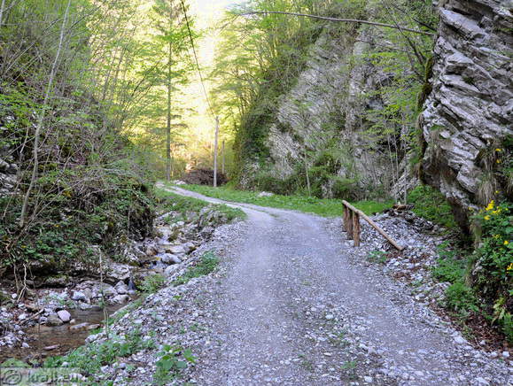 Cesta na drugi strani soteske in potok Driselpoh