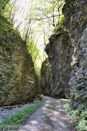 Soteska Driselpoh
