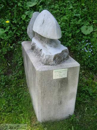 Alfredo Garcia (Španija) - Odsev lipe (2002)