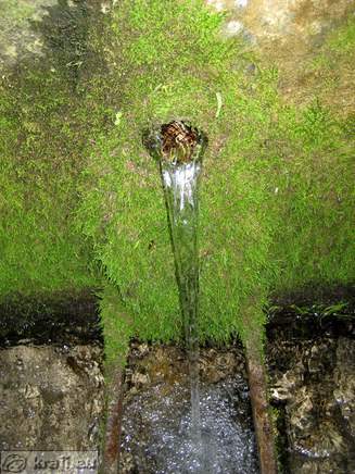 Izvir zdravilne vode Pod grmom