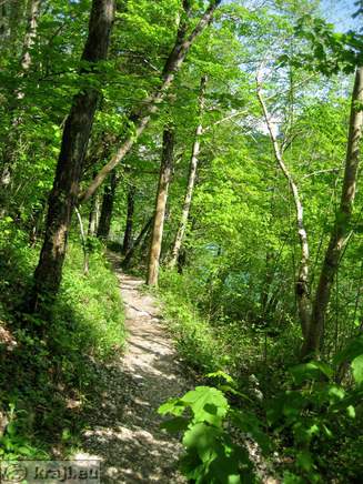 Promenade near confluence