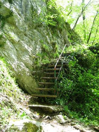 The way from confluence to the Bear's Head