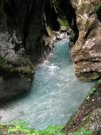 Tolminka near Thermal Spring