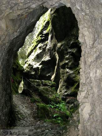 View from the tunnel