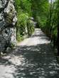 Zadlaska (Dante's) Cave - Road Zatolmin - Cadrg 
