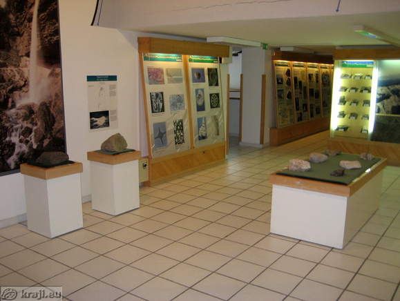 1st Floor - exhibition on animate and inanimate nature, culture landscape, man and nature