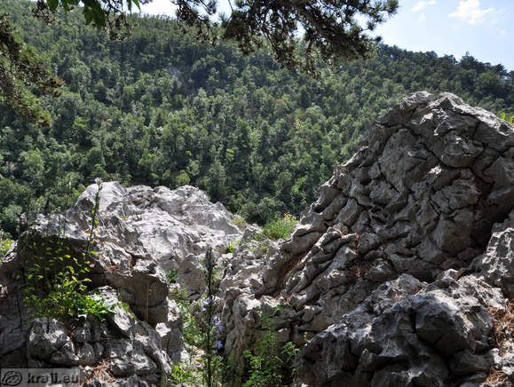 Schlucht Bela