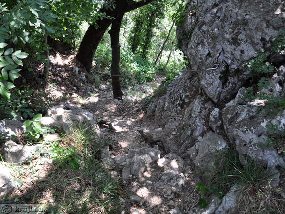 Schlucht Bela