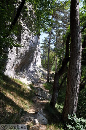Schlucht Bela