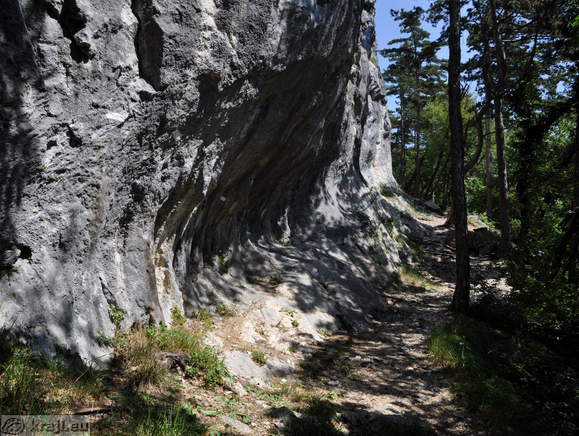 Schlucht Bela